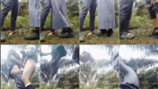 Indonesia Viral 2025 The Warmth Of Love Indo Viral Video Abg Seragam Bolos Sekolah Demi Merasakan Tarikan Nafas di Kebun Sawit Top Global Wikwik Hijab Inara